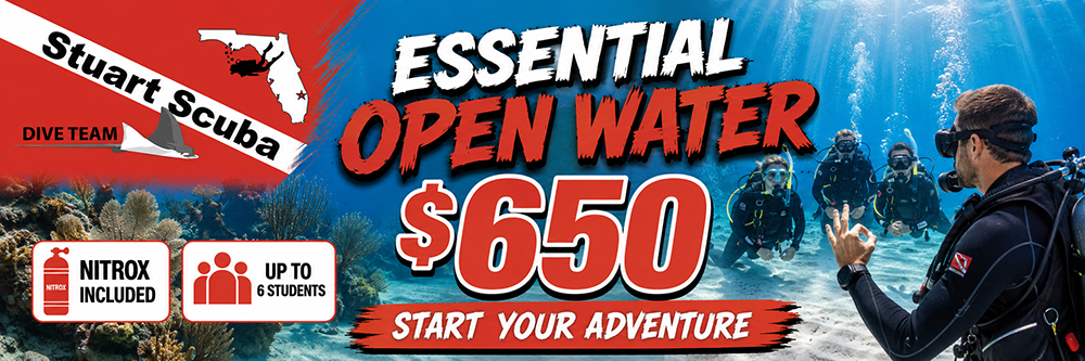 Essential Open Water Class - Group Setting