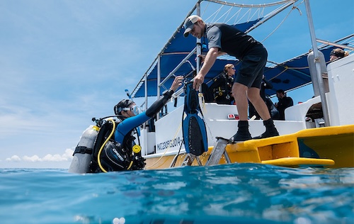 SDI Open Water Scuba Diver Referral