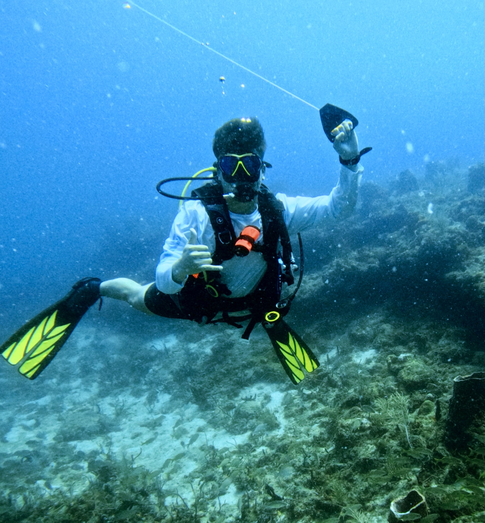 Noah Donato - PADI Divemaster