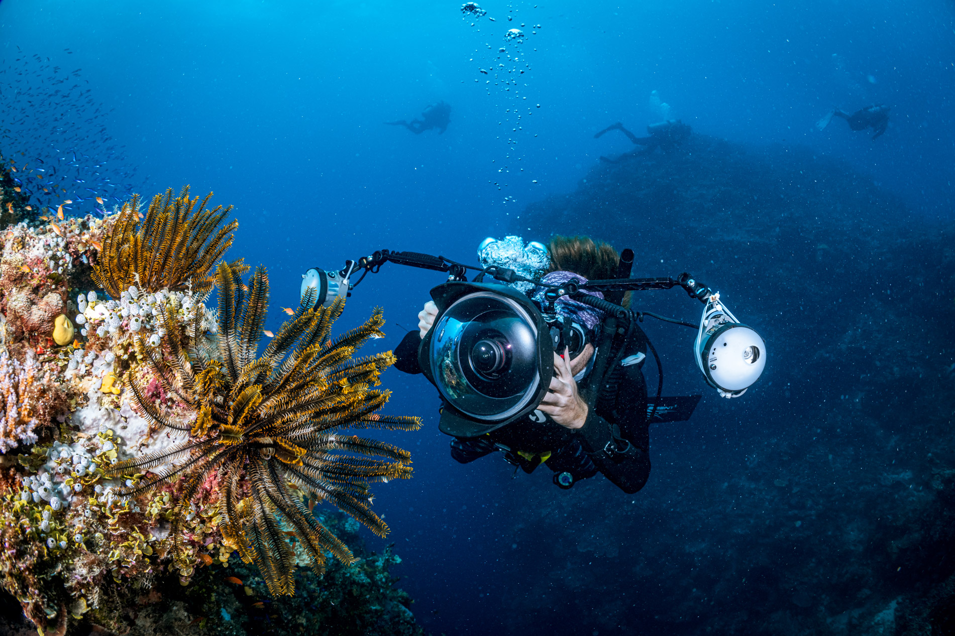 DIGITAL UNDERWATER PHOTOGRAPHER COURSE