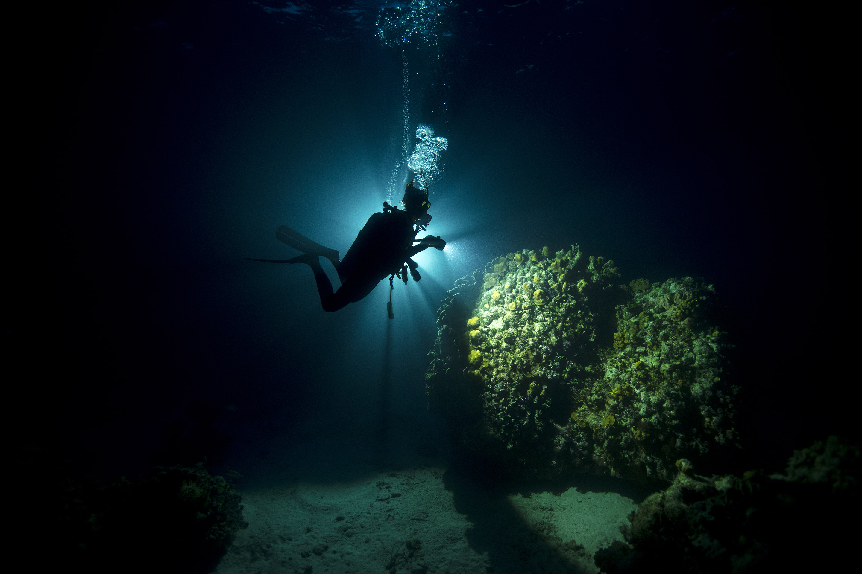 PADI NIGHT DIVER COURSE