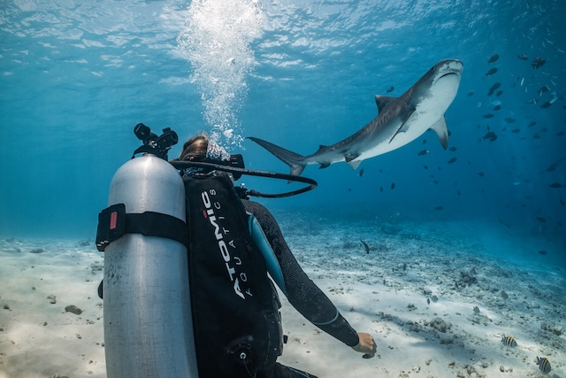 PADI MASTER SCUBA DIVER RATING
