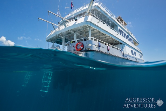 The Ultimate Belize Dive Adventure: Great Blue Hole & Atolls