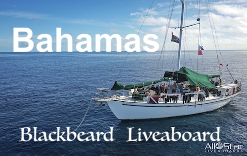 Bahamas, Blackbeard Liveaboard