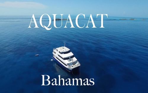 AquaCat Liveaboard,  Bahamas