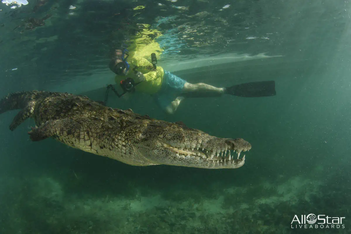 Cuba Expedition - April 29-May 9, 2026