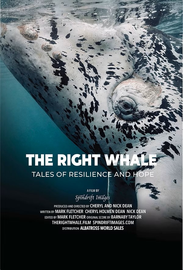 The Right Whale- Tales of Resilience and Hope