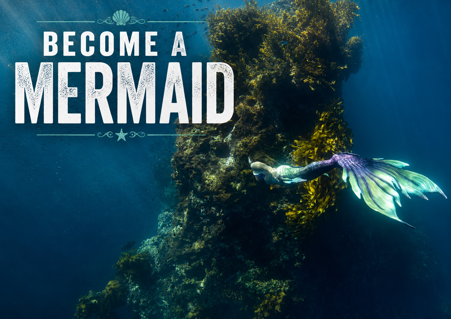 Mermaid Mermaid