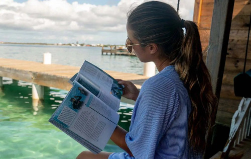 e-Learning | Dive Theory