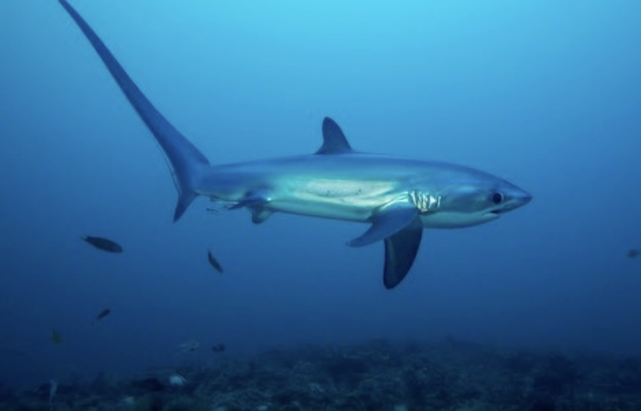 Atlantis Philippines