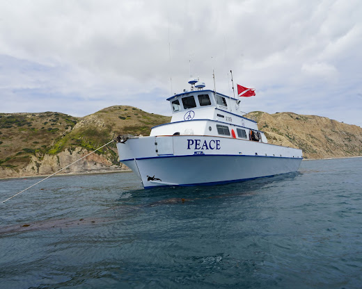 Lobsterpalooza 2026 - Final year of Peace Boat