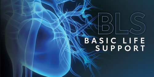 Basic Life Support (BLS) / AED $149.
