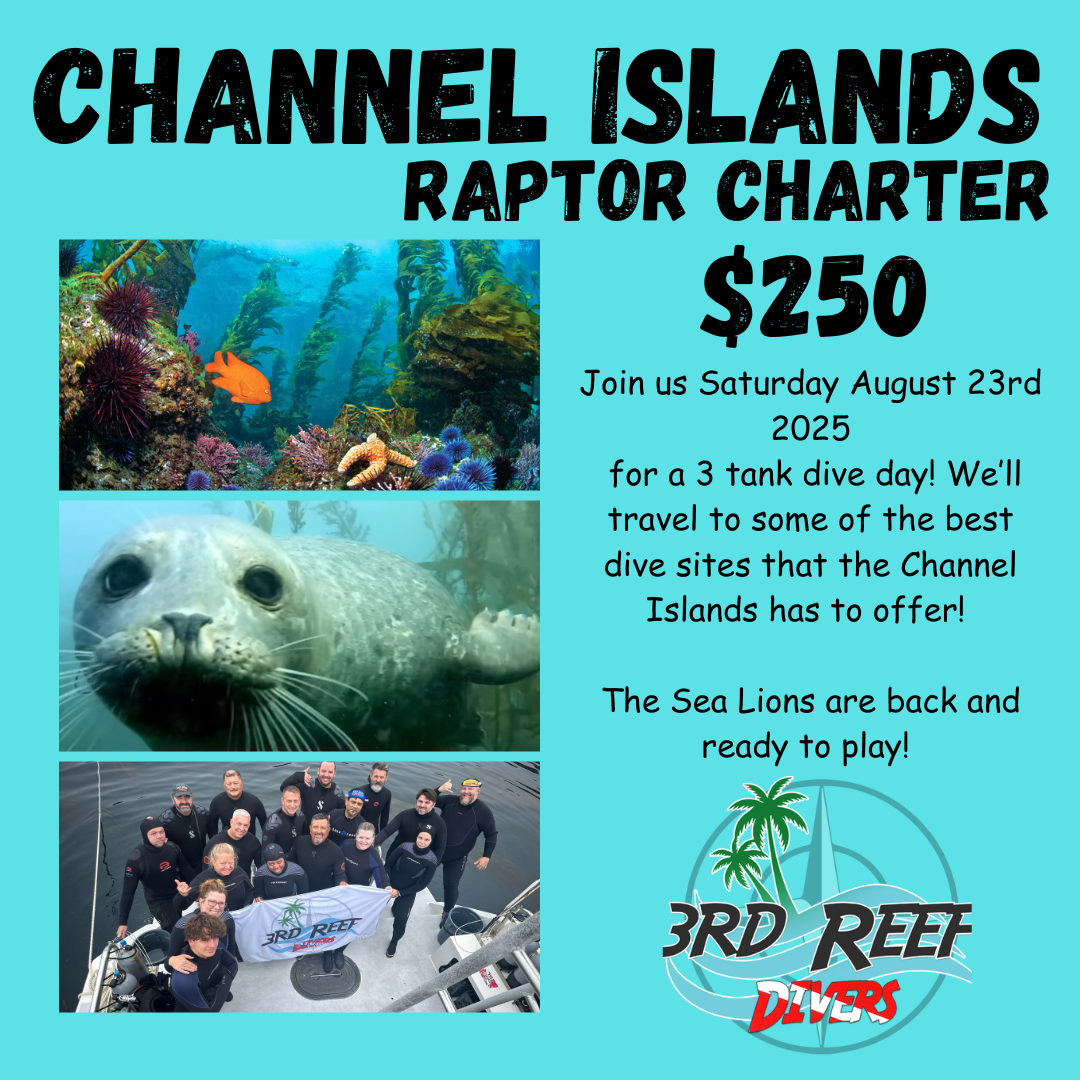 Channel Islands