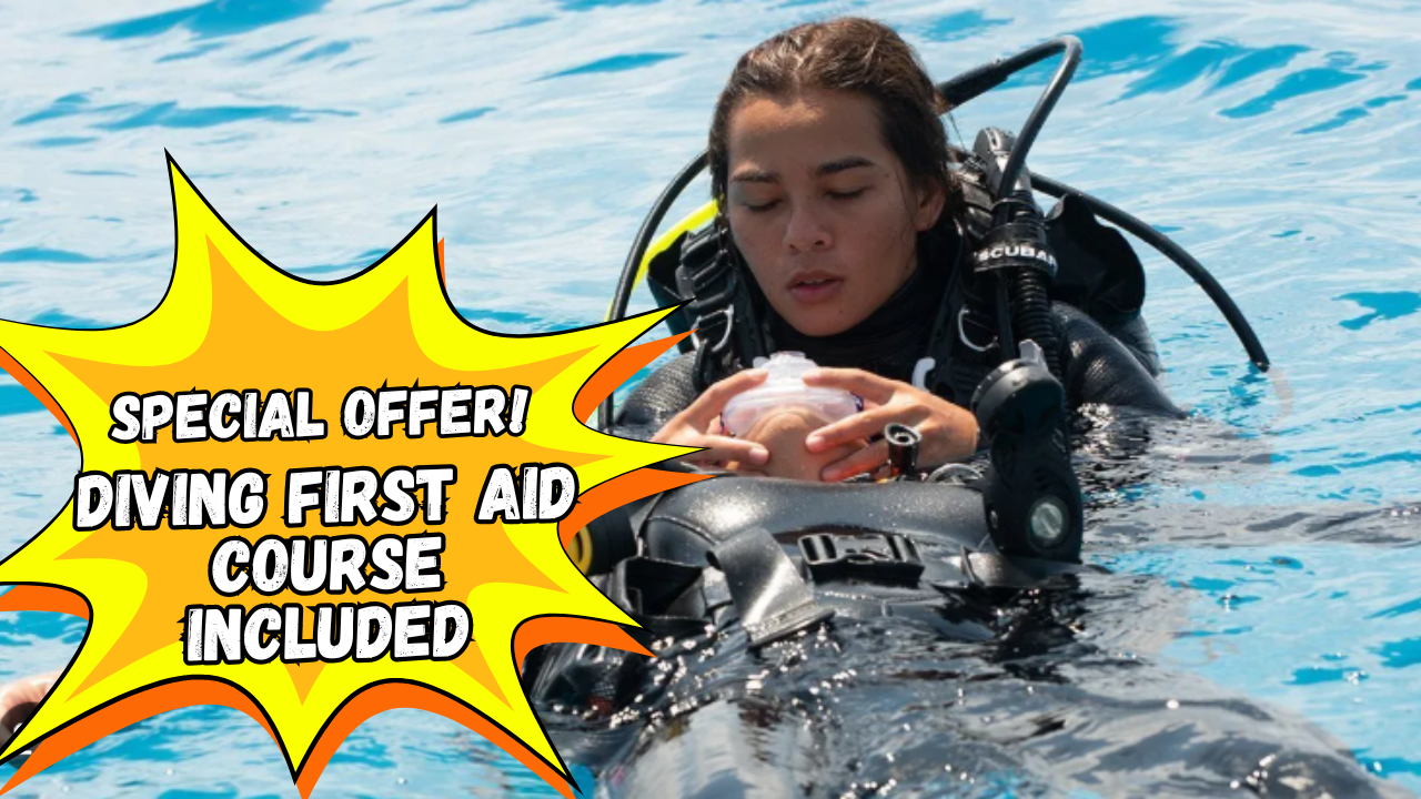 NAUI Rescue Diver and DFA only $399