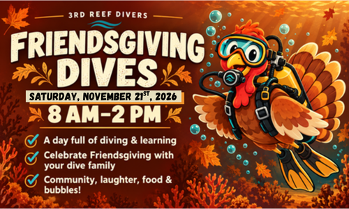 FriendsGiving Dives