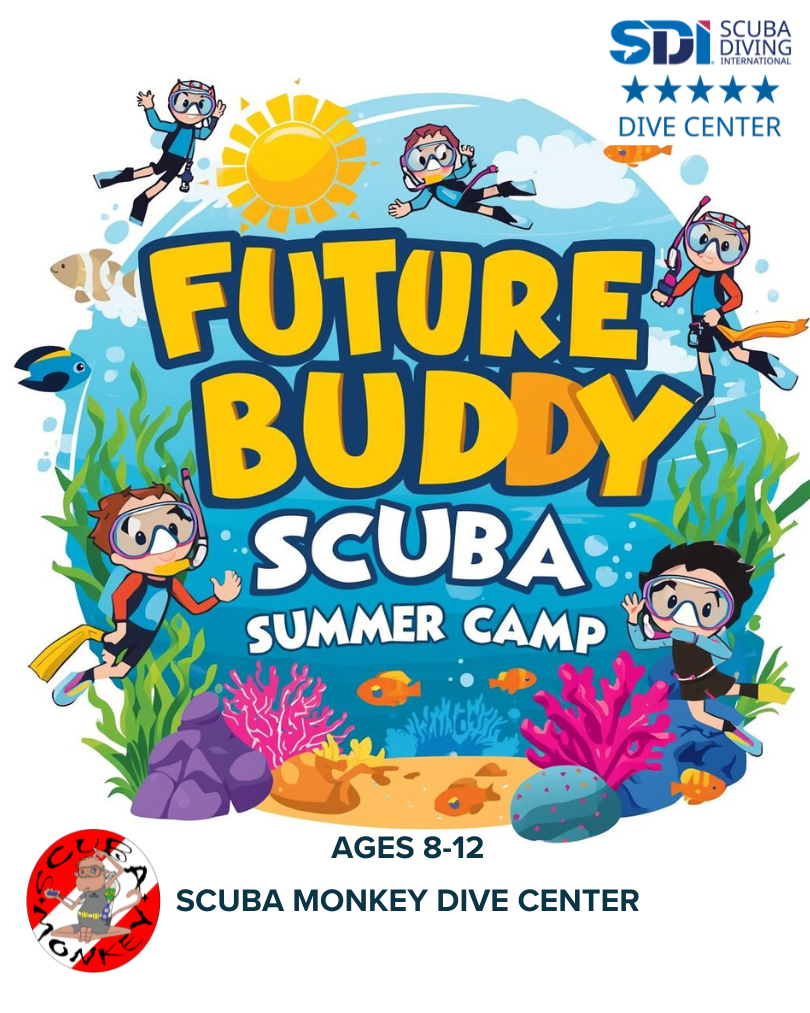 SDI Future Buddy Diver Summer Camp