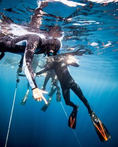 PFI Freediver Course (66ft)