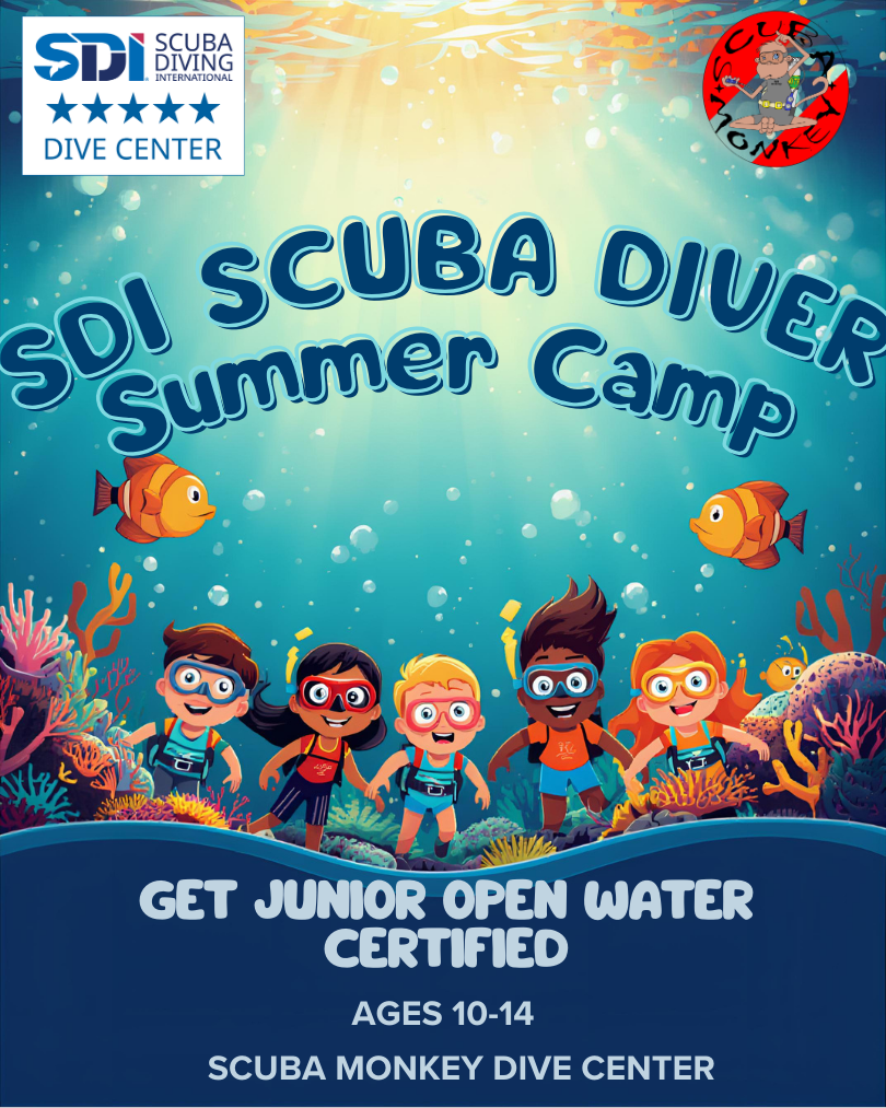 SDI Open Water Summer Camp