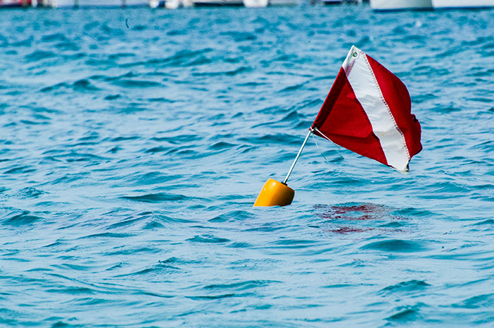 SDI Search & Recovery