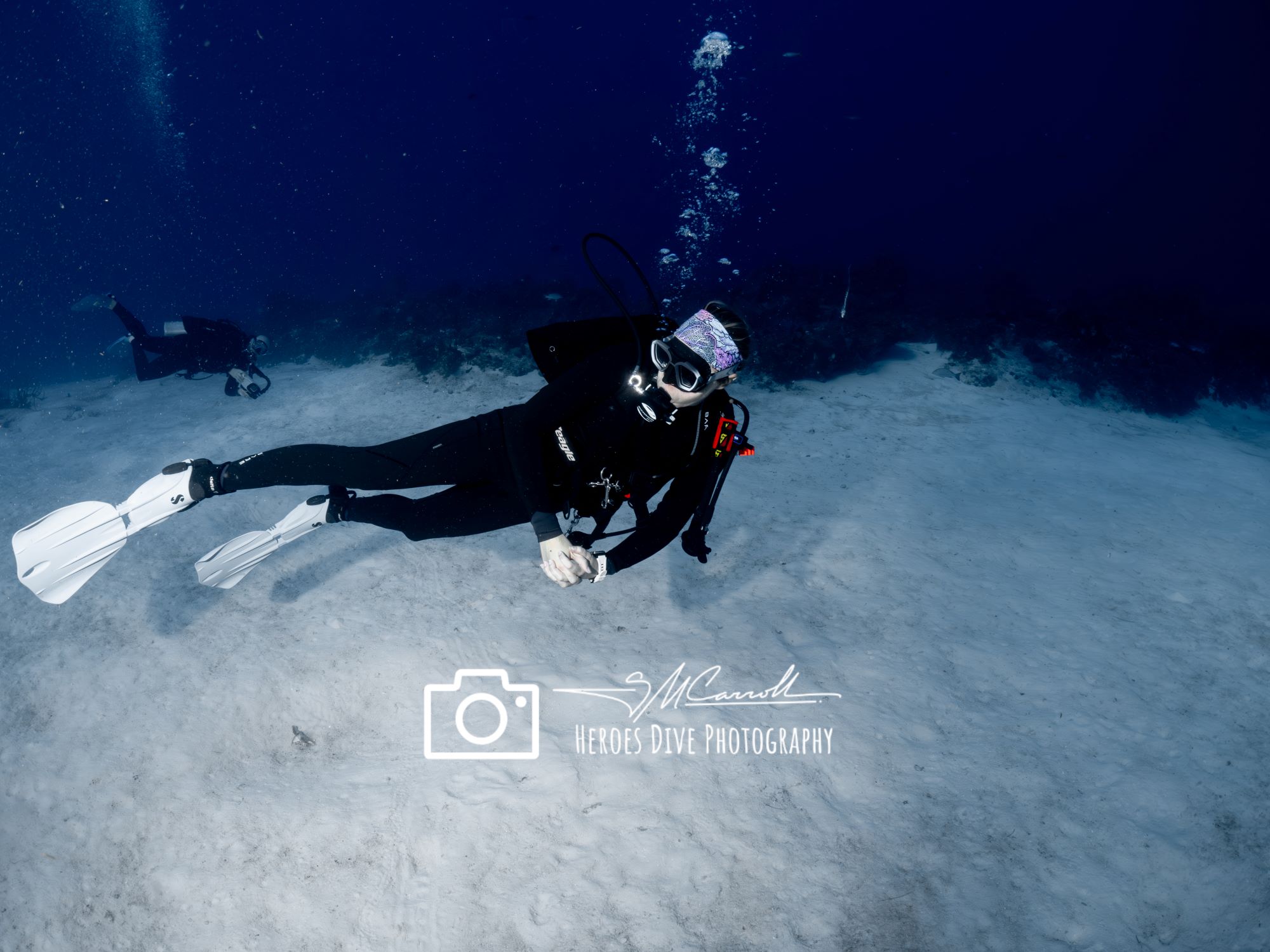 Snorkel with Manatees