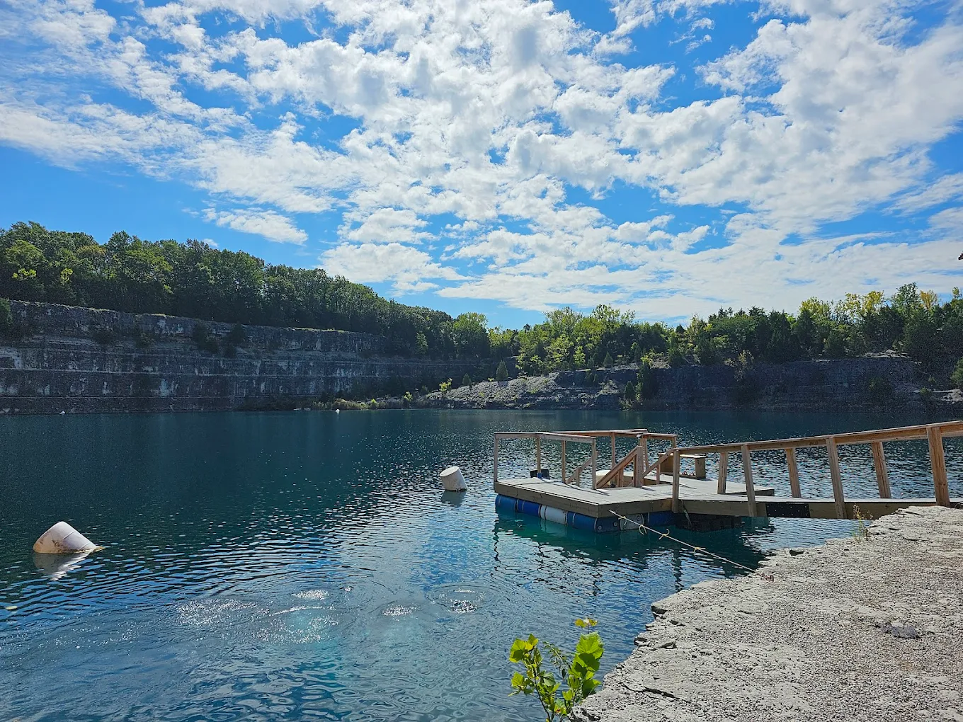 Pennyroyal 7-11-2026