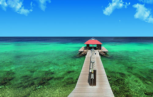 Bonaire Dive Trip: July 17-25, 2027