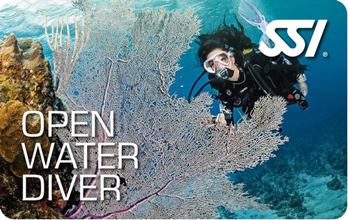 Referral Diver