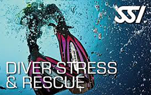 React Right and Stress Rescue Bundle