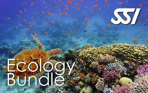 Ecology Bundle
