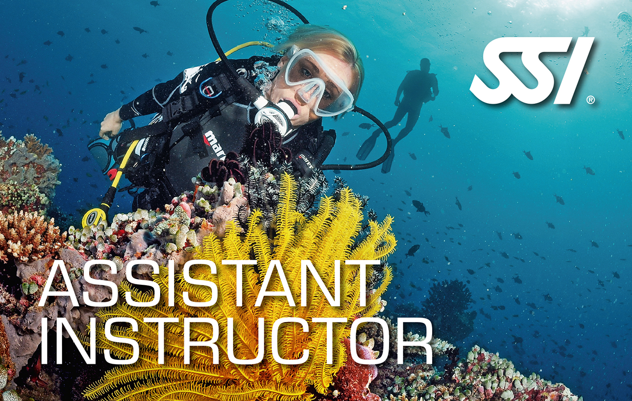 Become a Pro Diver