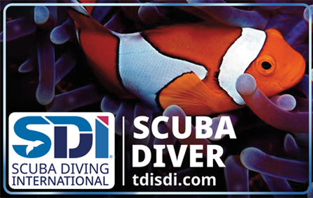 SDI Open  Water