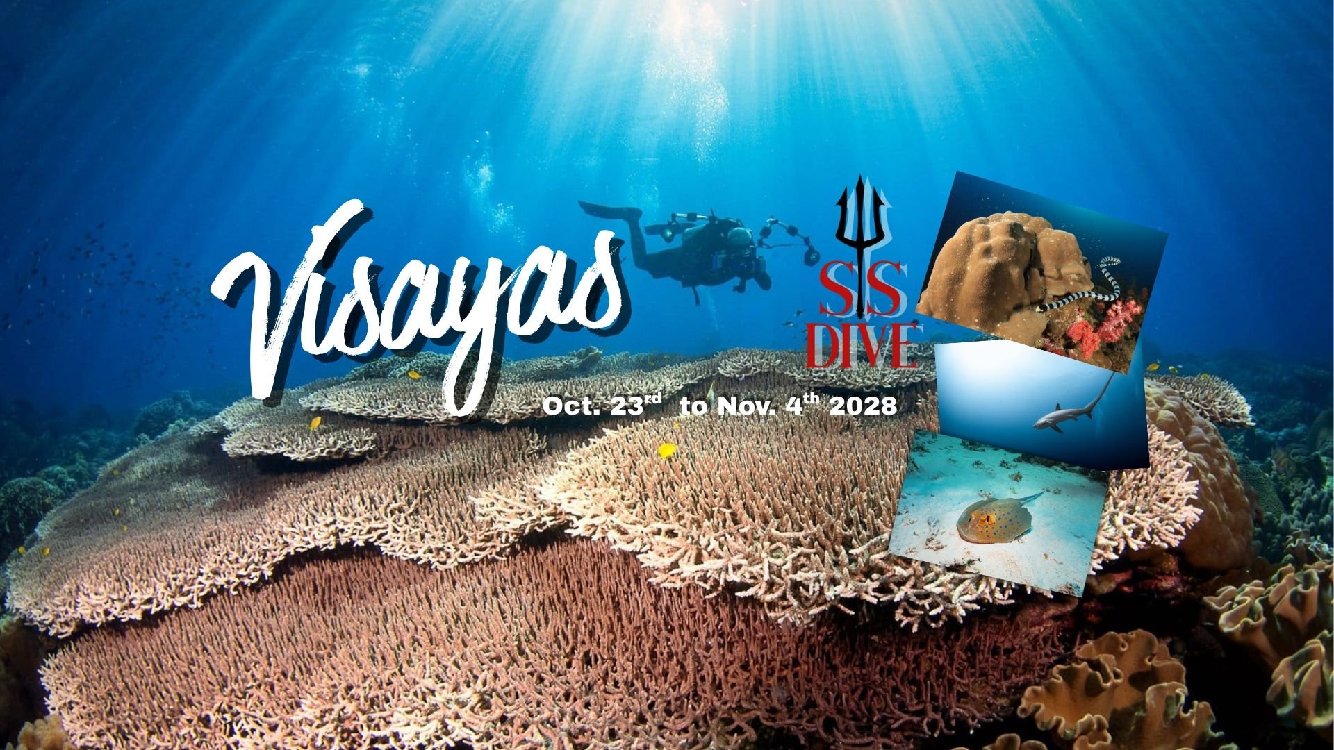 Atlantis Adventurer Visayas Safari & Dumaguete Combo