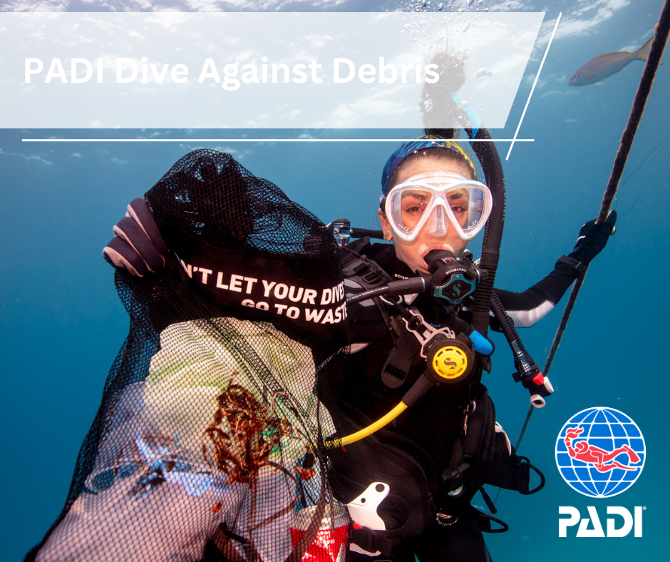 Dive Against Debris