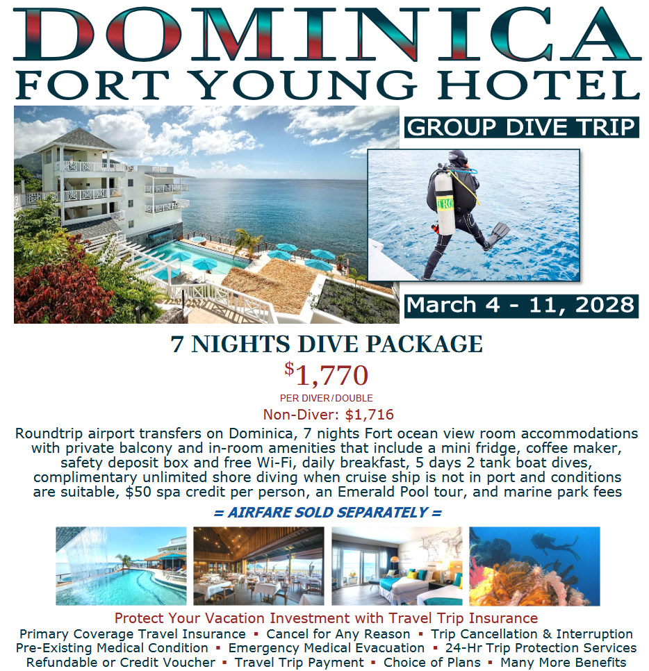 2028 Dominica
