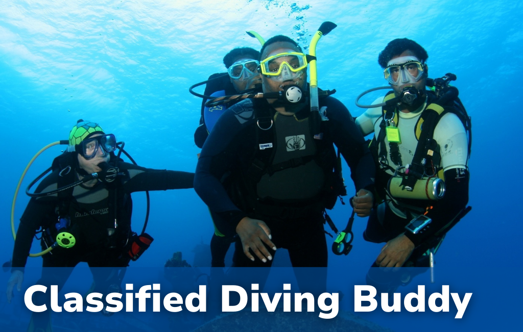 Classified Dive Buddy