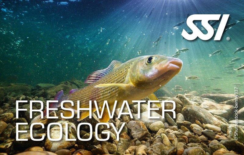 Freshwater Ecology