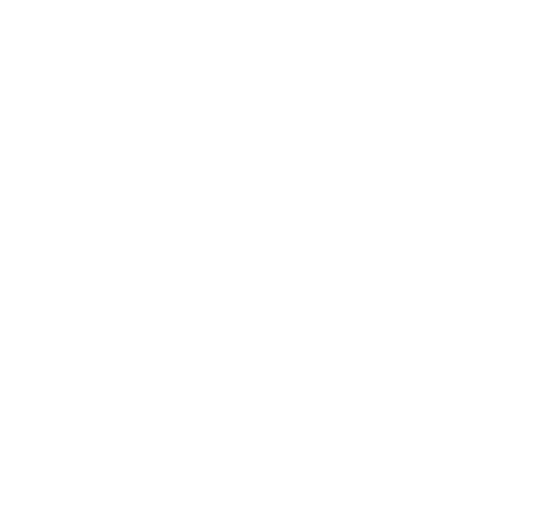 Dive Zone Bay Of Islands