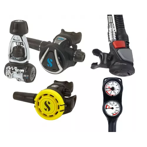 Collection Image