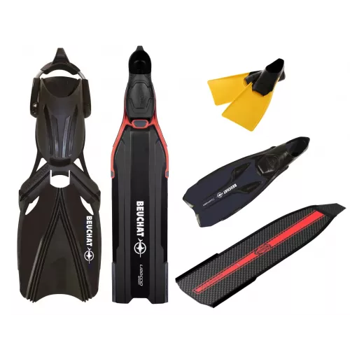 Collection Image