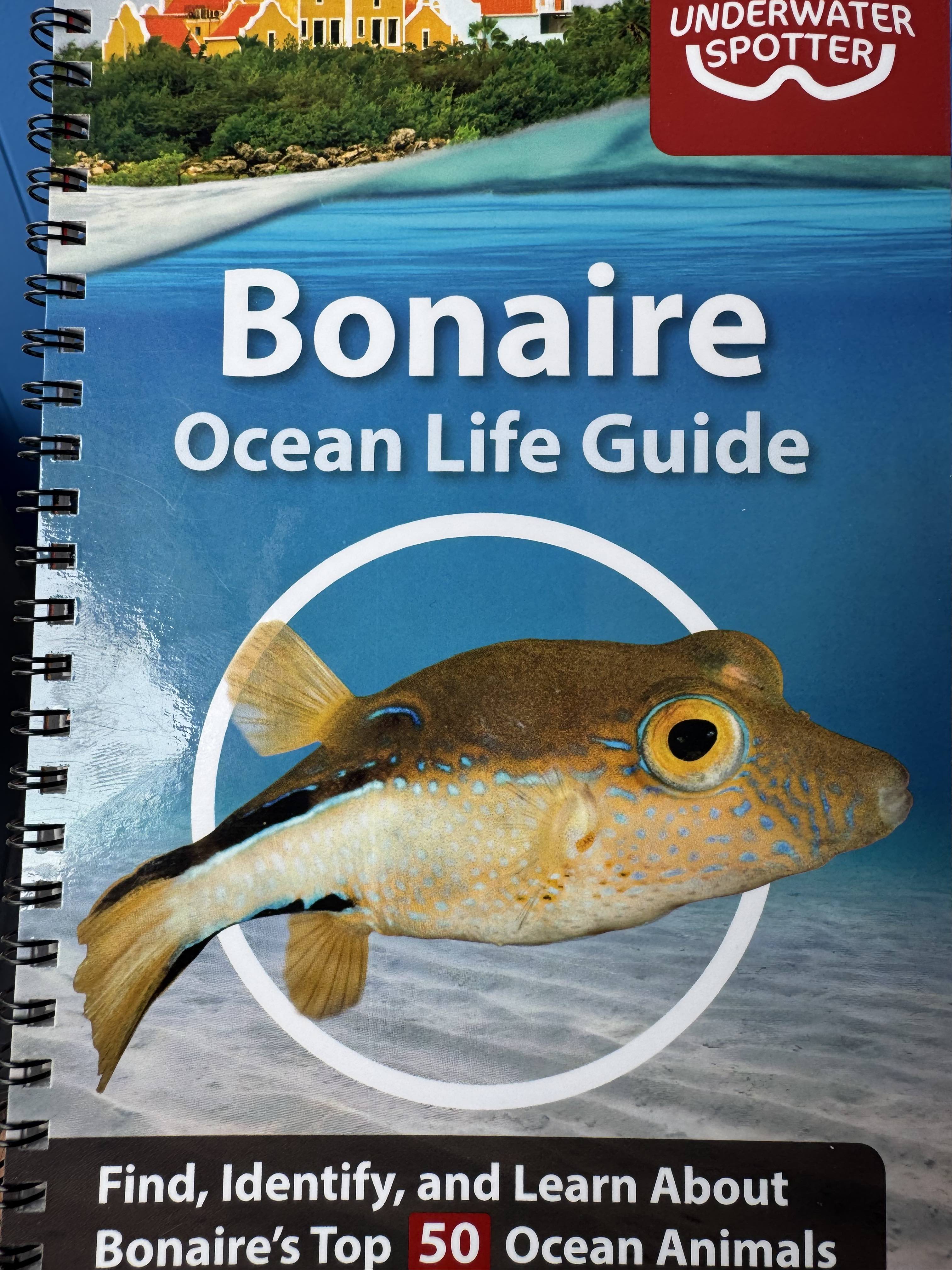 Bonaire Fish ID Course