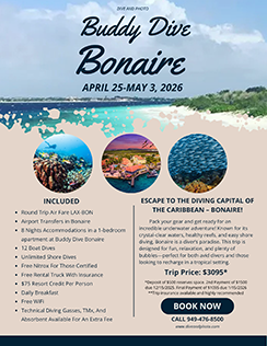 Bonaire 4/25/26-5/3/26