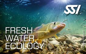 SSI Freshwater Ecology