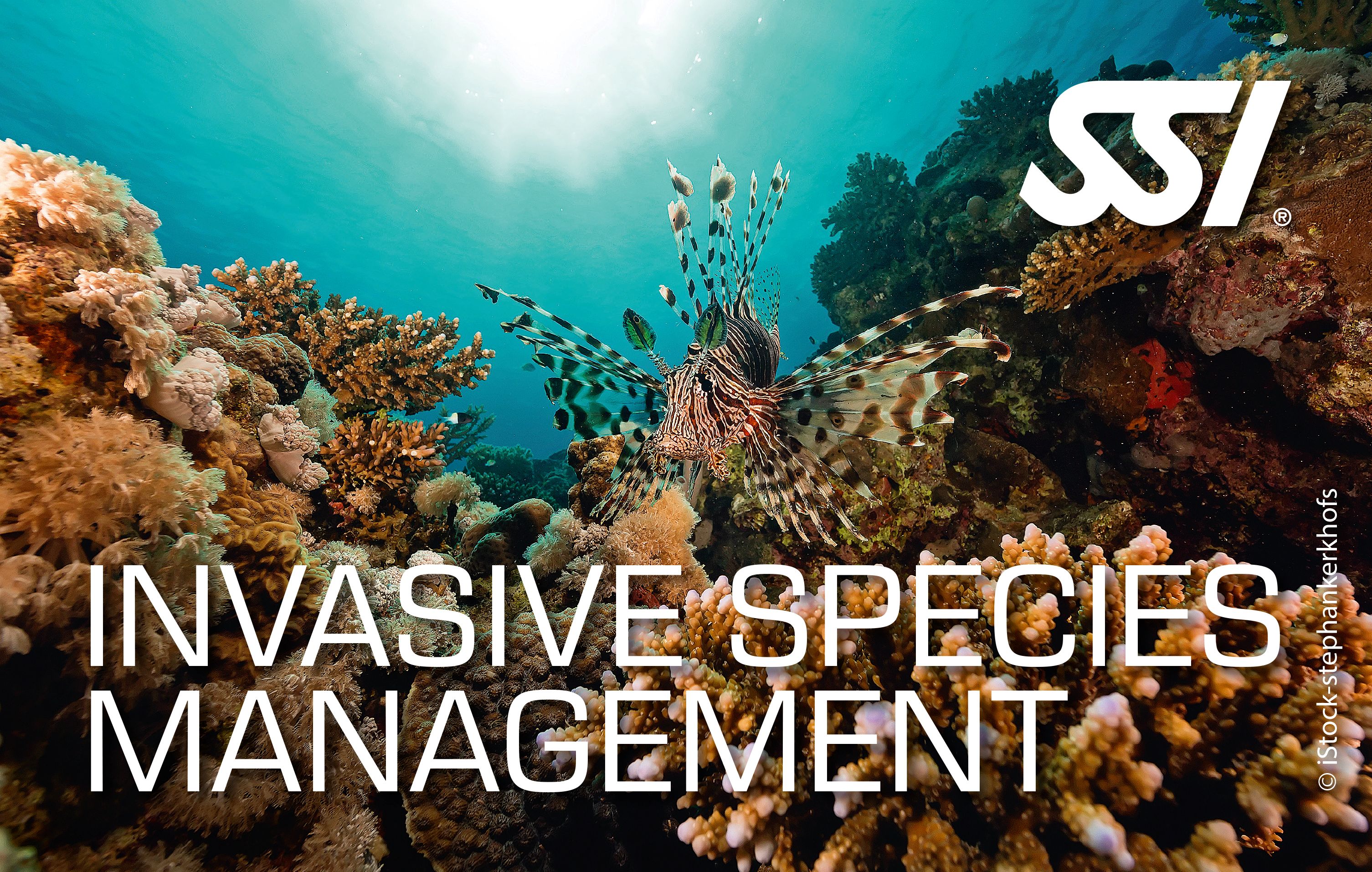 SSI Invasive Species Management