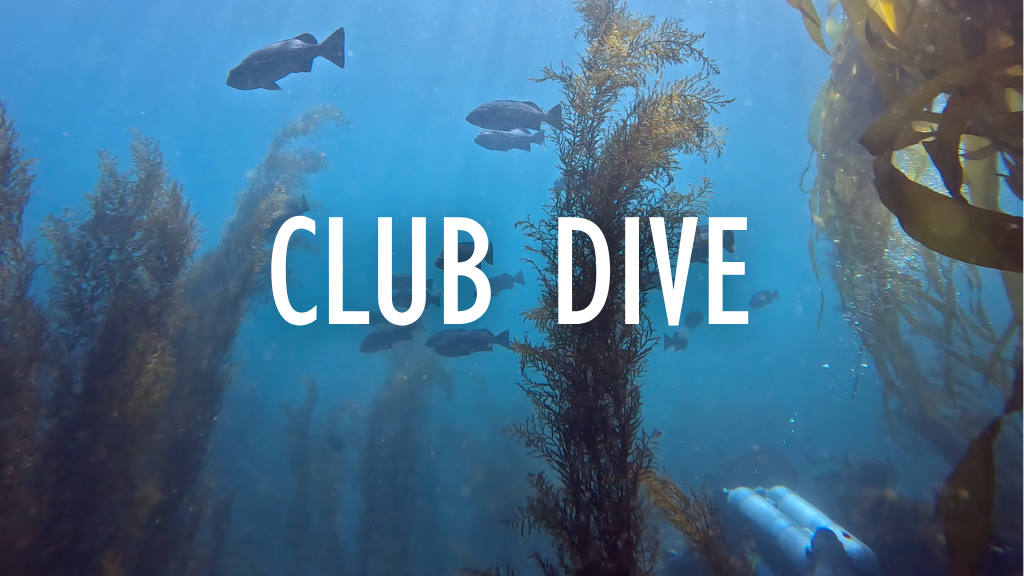 Jul - Club dive - Monastery Dive: Check Gear Before Channel Islands!