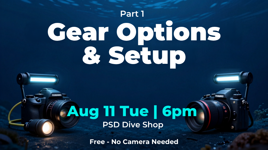 Aug - Photo - Part 1 - Gear