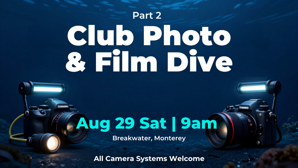 Aug - Photo - Part 2 - Dive