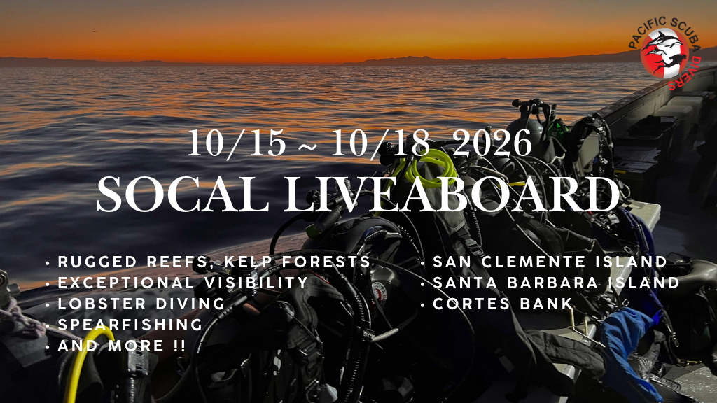 Oct - Club Dive - 3 day Liveaboard South Channel islands