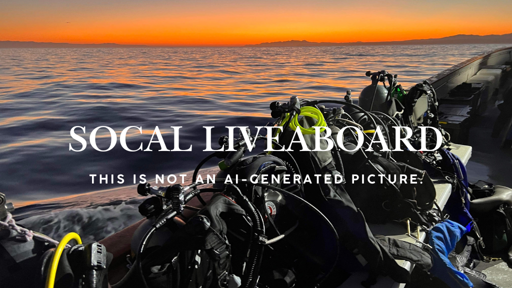 Oct - Club Dive - 3 day Liveaboard South Channel islands