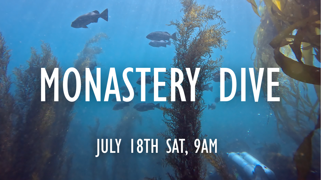 Jul - Club dive - Check Gear Before Channel Islands!