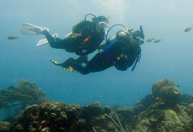 What You Need to Know About Deep Diving